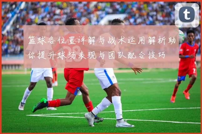 篮球各位置详解与战术运用解析助你提升球场表现与团队配合技巧