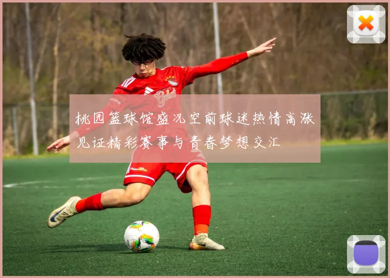 桃园篮球馆盛况空前球迷热情高涨见证精彩赛事与青春梦想交汇