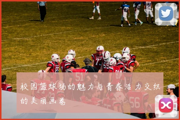 校园篮球场的魅力与青春活力交织的美丽画卷