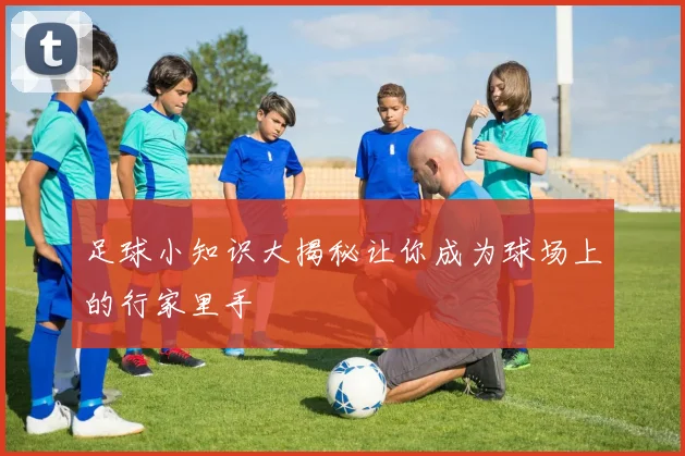 足球小知识大揭秘让你成为球场上的行家里手