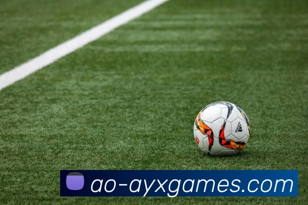 爱游戏APP 封面图